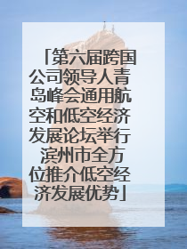 第六届跨国公司领导人青岛峰会通用航空和低空经济发展论坛举行 滨州市全方位推介低空经济发展优势