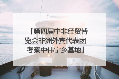 第四届中非经贸博览会非洲外宾代表团考察中伟宁乡基地