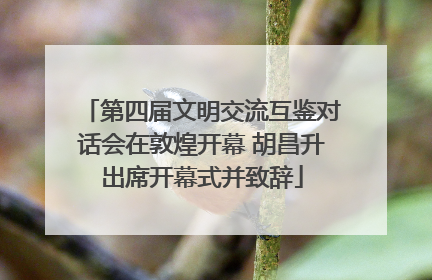 第四届文明交流互鉴对话会在敦煌开幕 胡昌升出席开幕式并致辞