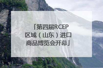 第四届RCEP区域（山东）进口商品博览会开幕