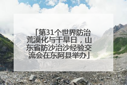 第31个世界防治荒漠化与干旱日，山东省防沙治沙经验交流会在东阿县举办