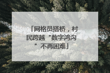网格员搭桥，村民跨越“数字鸿沟”不再困难