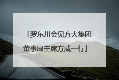 罗东川会见方大集团董事局主席方威一行