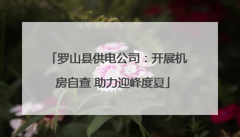 罗山县供电公司：开展机房自查 助力迎峰度夏