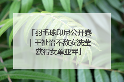 羽毛球印尼公开赛｜王祉怡不敌安洗莹 获得女单亚军