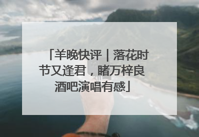 羊晚快评｜落花时节又逢君，睹万梓良酒吧演唱有感