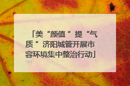 美“颜值 ”提“气质 ”济阳城管开展市容环境集中整治行动