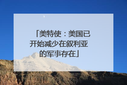 美特使：美国已开始减少在叙利亚的军事存在