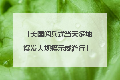 美国阅兵式当天多地爆发大规模示威游行