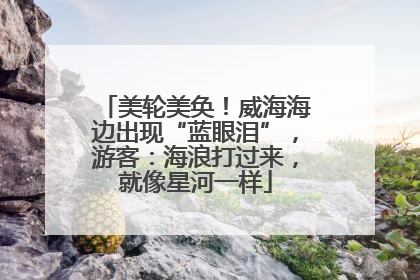 美轮美奂！威海海边出现“蓝眼泪”，游客：海浪打过来，就像星河一样