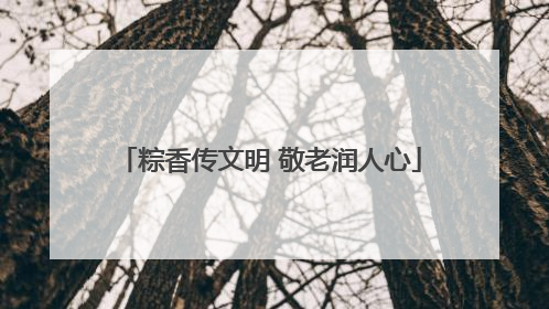 粽香传文明 敬老润人心