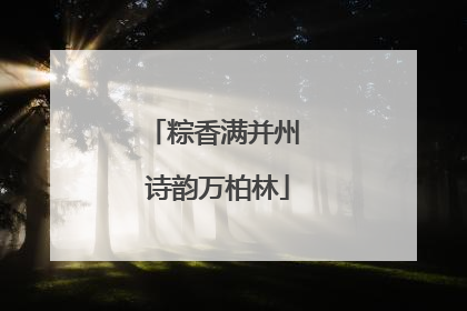 粽香满并州 诗韵万柏林