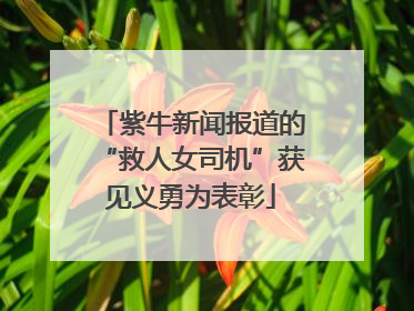 紫牛新闻报道的“救人女司机”获见义勇为表彰