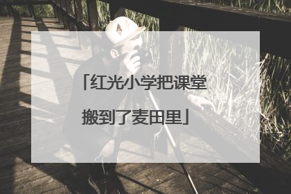 红光小学把课堂搬到了麦田里