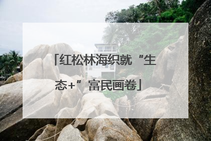 红松林海织就“生态+”富民画卷