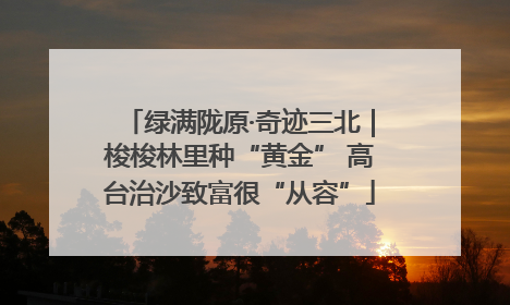 绿满陇原·奇迹三北｜梭梭林里种“黄金” 高台治沙致富很“从容”