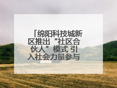 绵阳科技城新区推出“社区合伙人”模式 引入社会力量参与民生共建共治