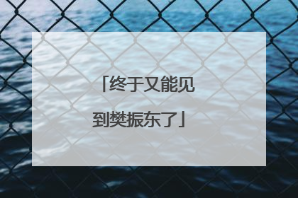 终于又能见到樊振东了
