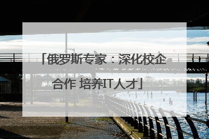 俄罗斯专家：深化校企合作 培养IT人才