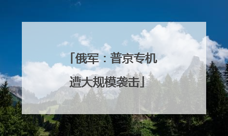 俄军：普京专机遭大规模袭击