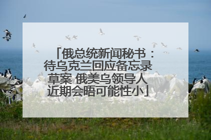 俄总统新闻秘书：待乌克兰回应备忘录草案 俄美乌领导人近期会晤可能性小