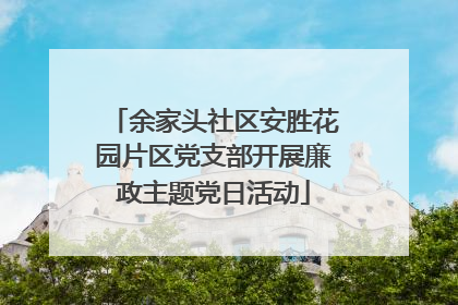 余家头社区安胜花园片区党支部开展廉政主题党日活动