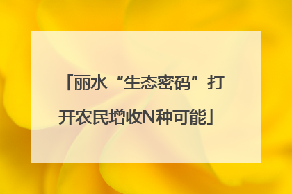 丽水“生态密码”打开农民增收N种可能