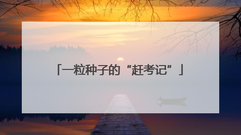 一粒种子的“赶考记”