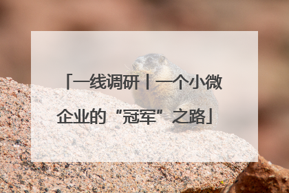 一线调研丨一个小微企业的“冠军”之路