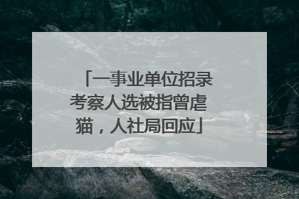 一事业单位招录考察人选被指曾虐猫，人社局回应