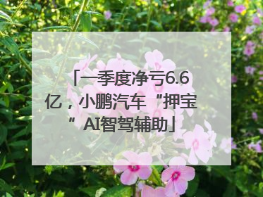 一季度净亏6.6亿，小鹏汽车“押宝”AI智驾辅助
