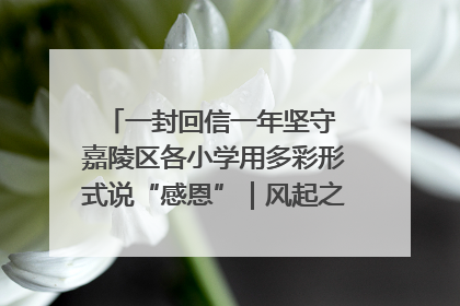 一封回信一年坚守 嘉陵区各小学用多彩形式说“感恩”｜风起之江 扶摇直上