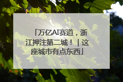 万亿AI赛道，浙江押注第二城！｜这座城市有点东西