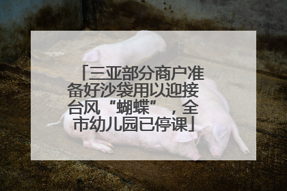 三亚部分商户准备好沙袋用以迎接台风“蝴蝶”，全市幼儿园已停课