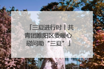 三夏进行时丨共青团睢阳区委暖心慰问助“三夏”