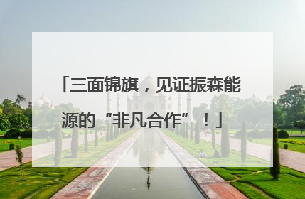 三面锦旗，见证振森能源的“非凡合作”！