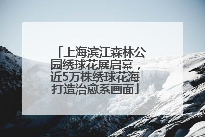 上海滨江森林公园绣球花展启幕，近5万株绣球花海打造治愈系画面