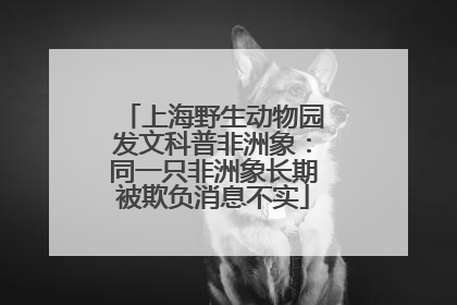 上海野生动物园发文科普非洲象：同一只非洲象长期被欺负消息不实