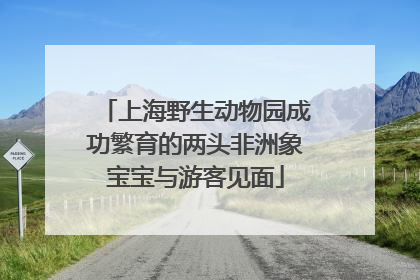 上海野生动物园成功繁育的两头非洲象宝宝与游客见面