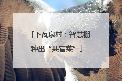 下瓦泉村：智慧棚种出“共富菜”