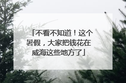 不看不知道！这个暑假，大家把钱花在威海这些地方了