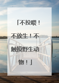 不投喂！不放生！不触摸野生动物！