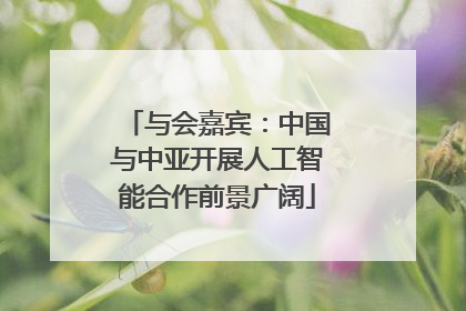 与会嘉宾：中国与中亚开展人工智能合作前景广阔