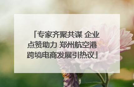 专家齐聚共谋 企业点赞助力 郑州航空港跨境电商发展引热议