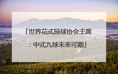 世界花式撞球协会主席：中式九球未来可期