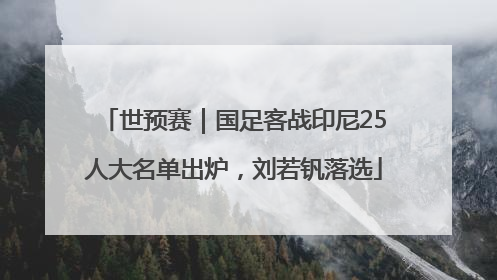 世预赛｜国足客战印尼25人大名单出炉，刘若钒落选