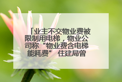 业主不交物业费被限制用电梯，物业公司称“物业费含电梯能耗费” 住建局曾责令整改