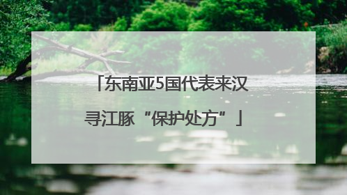 东南亚5国代表来汉寻江豚“保护处方”