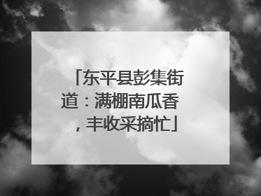 东平县彭集街道：满棚南瓜香，丰收采摘忙