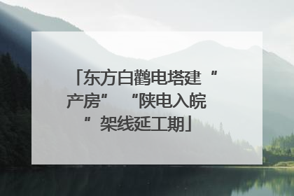 东方白鹳电塔建“产房” “陕电入皖”架线延工期